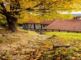 Gartenansicht (2)